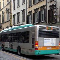 bus.jpg